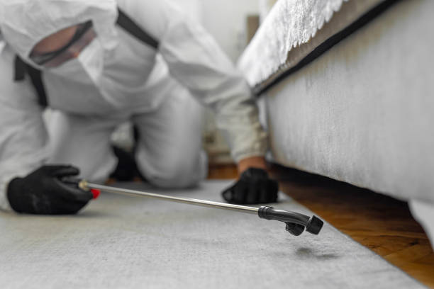 Professional Pest Control technician working in Pinal County County, AZ